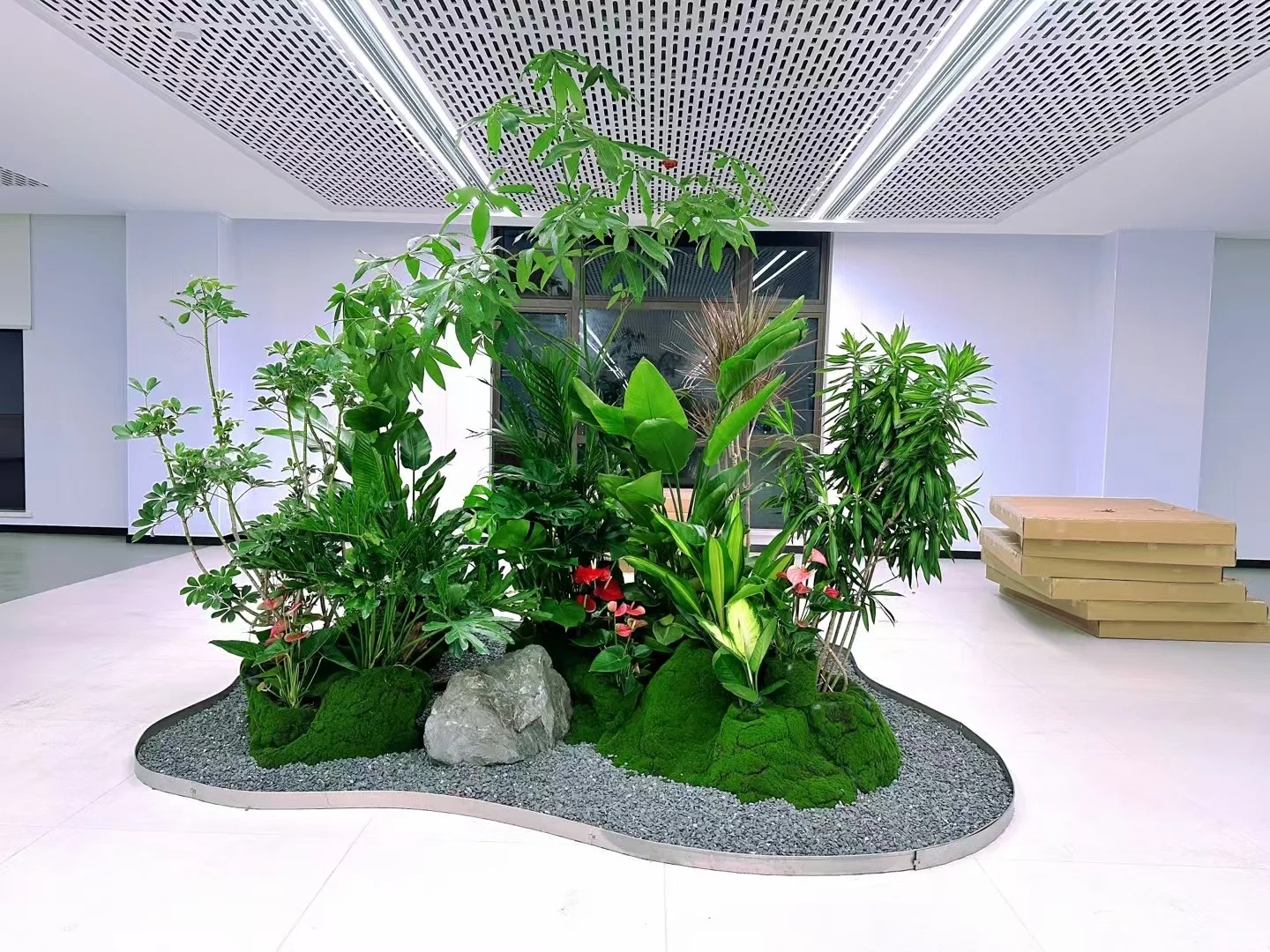 专业绿植租赁,宁波鄞州为您的空间添一抹绿